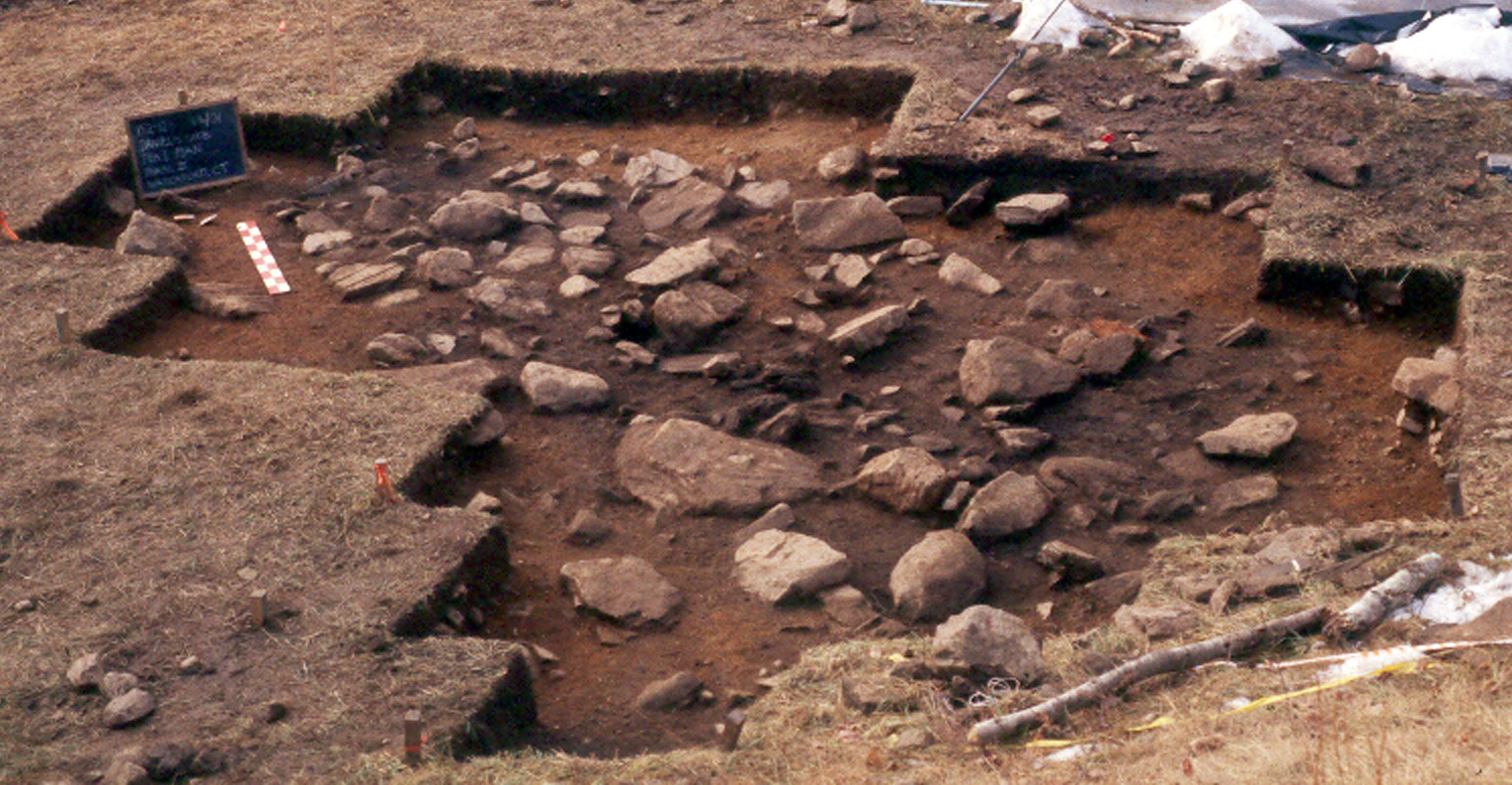 Image of excavated of meter-square units