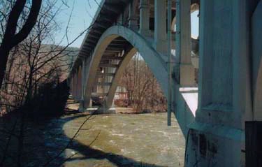 Close-up of arch ribs, typical open-spandrel bridge