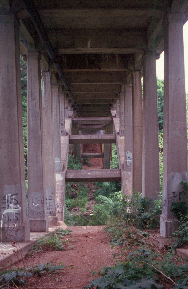 Underside of bridge, showing columns and arch ribs